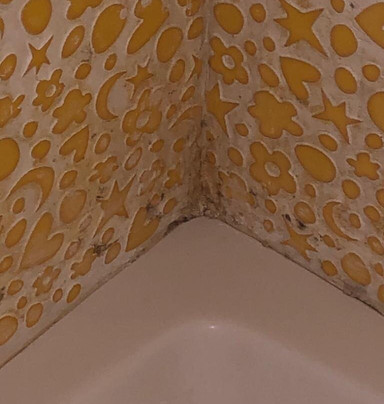 Il Caimano Bed & Breakfast主图