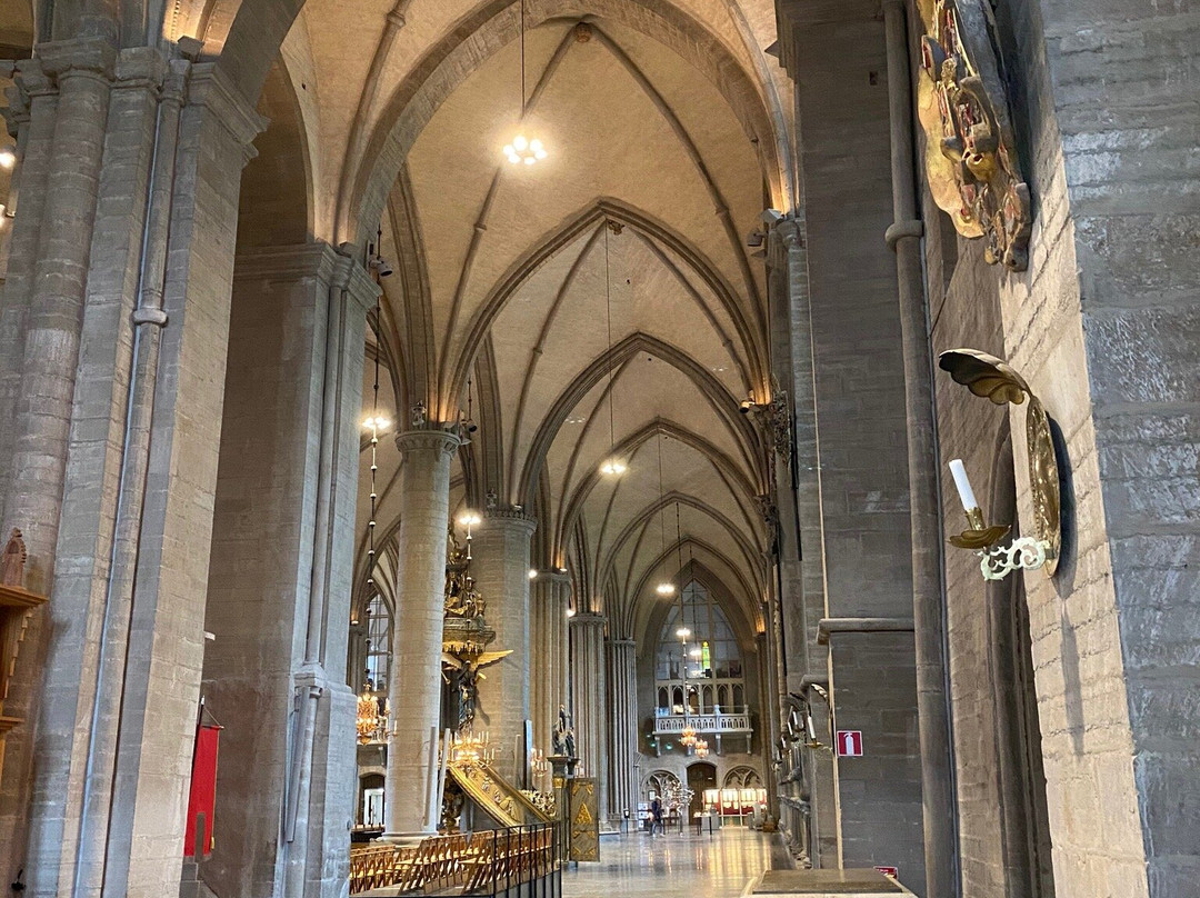 Linköpings Domkyrka-林雪平必去景点