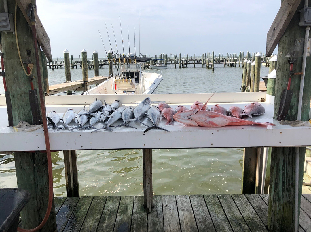 Nicole Fishing Charters-格尔夫海岸必去景点