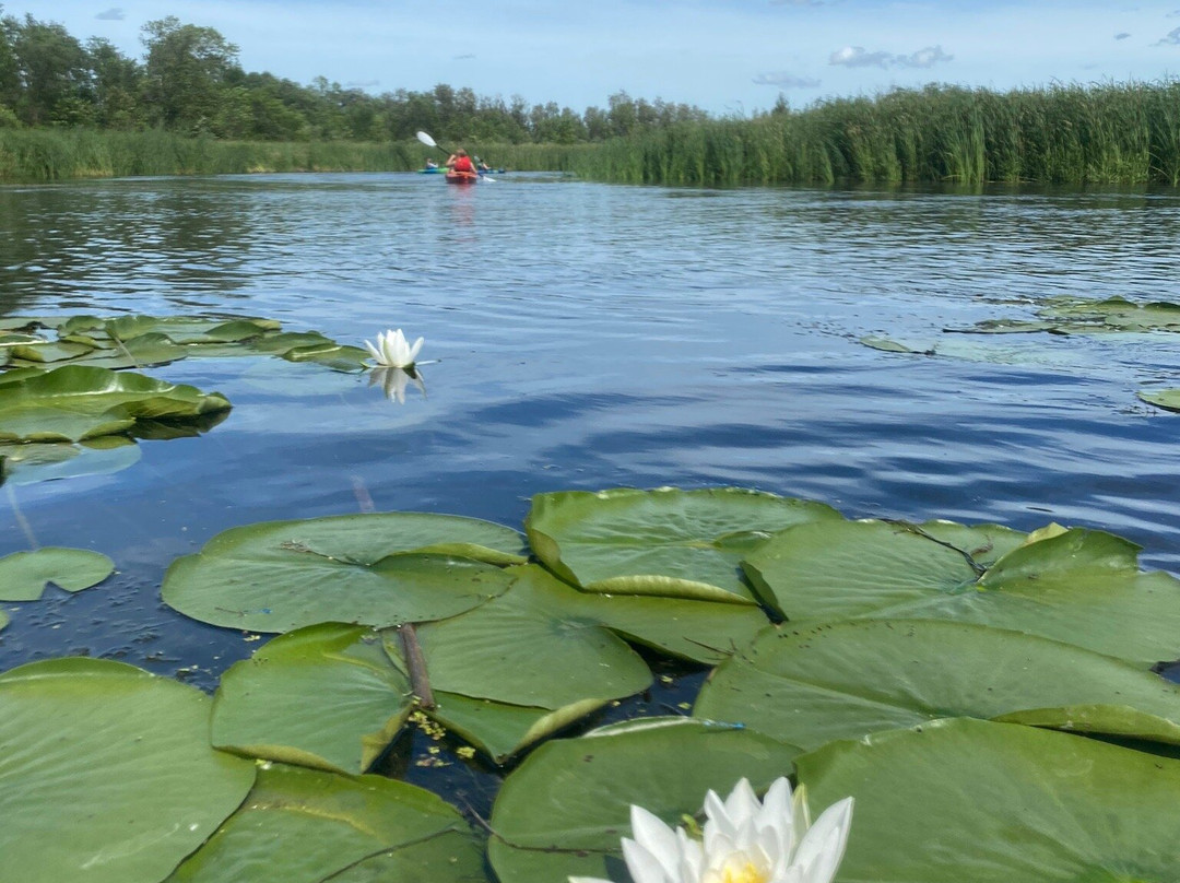 Pelican Paddle Company-Pelican Rapids必去景点