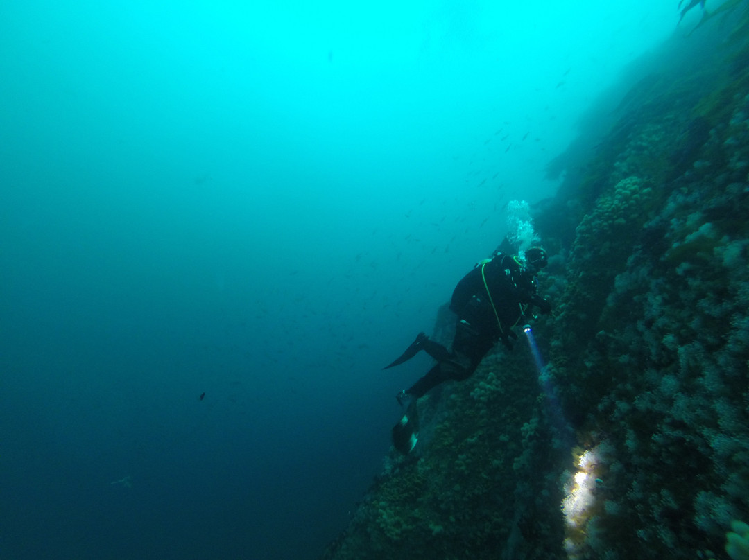 Saltstraumen Dykkecamp景点图片
