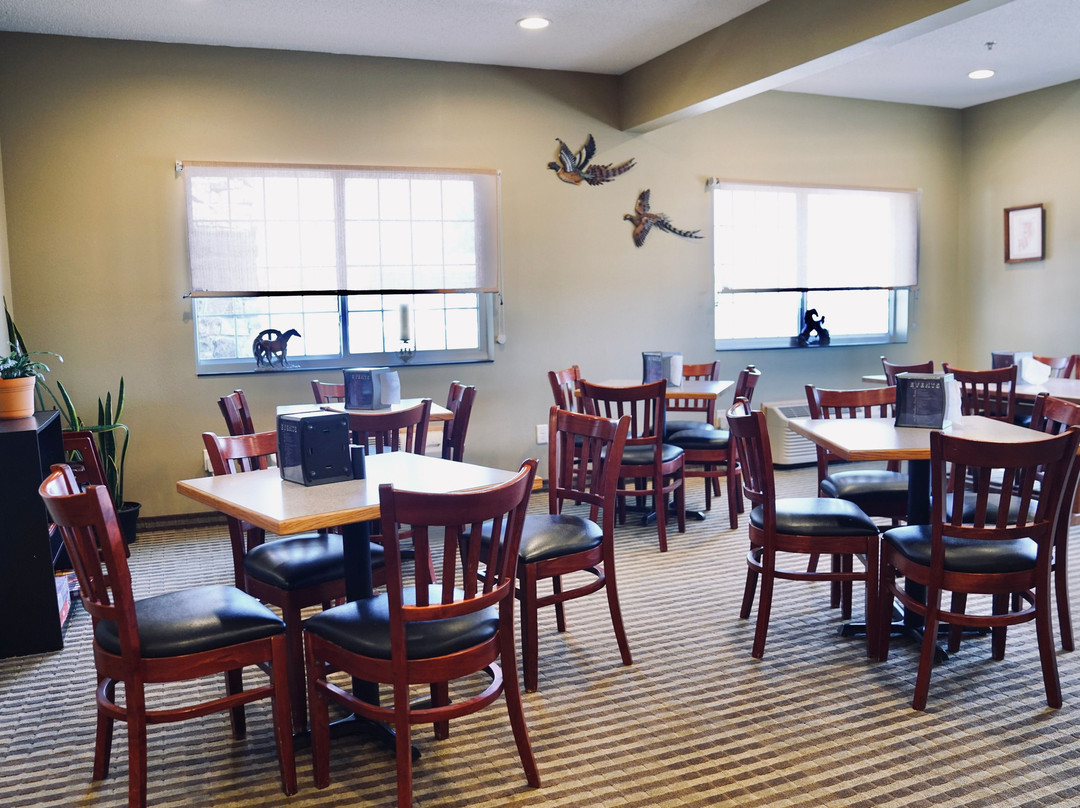 Hettinger酒店住宿-Bowman Inn and Suites