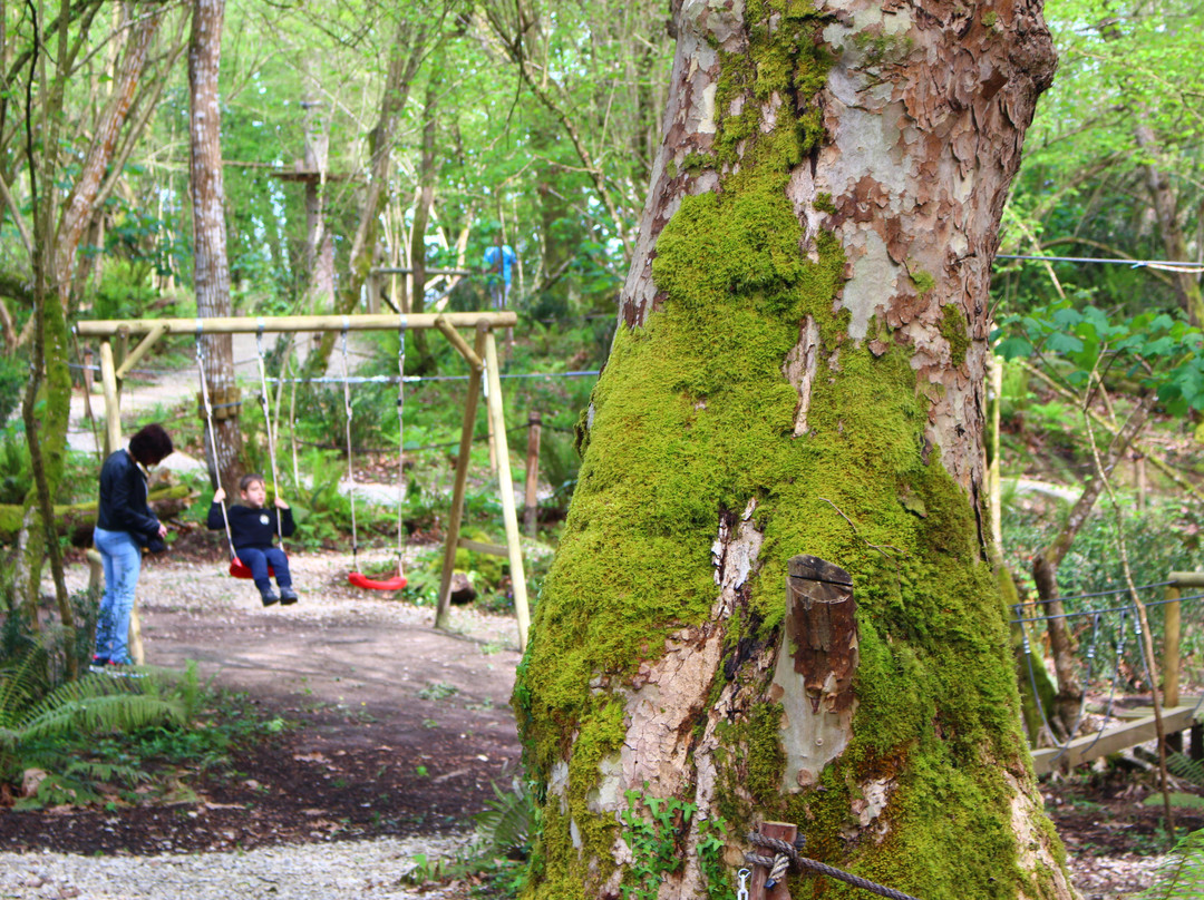 Selva Asturiana Aventura en Llanes-La Pereda必去景点