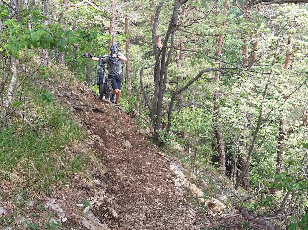Bike Park