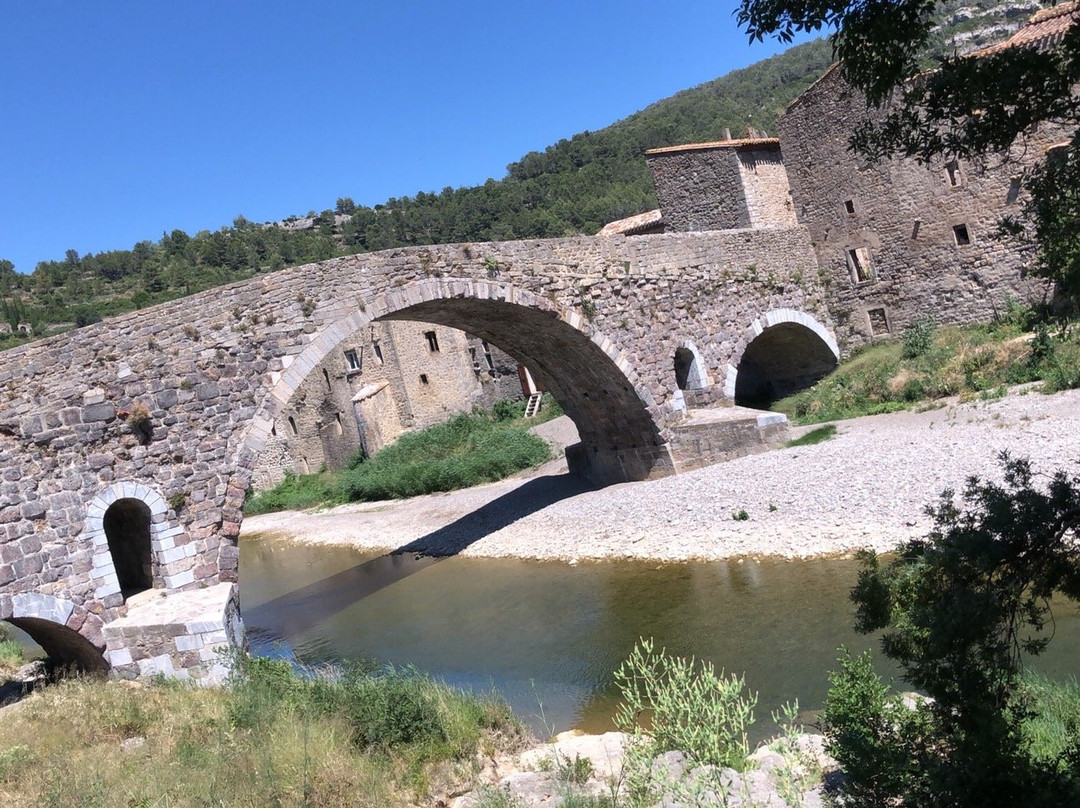 Pont Vieux景点图片