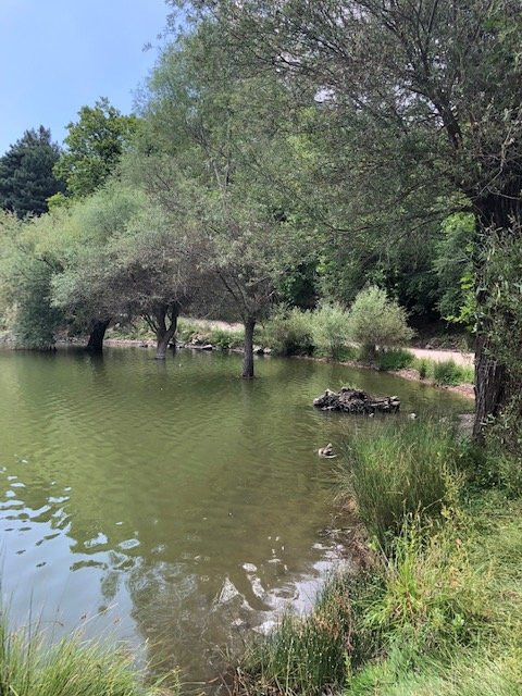 Karagöl Orman Parkı景点图片