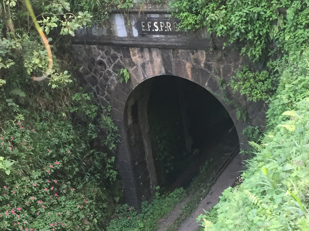 Túnel Ferroviario De Pinheiro Preto景点图片