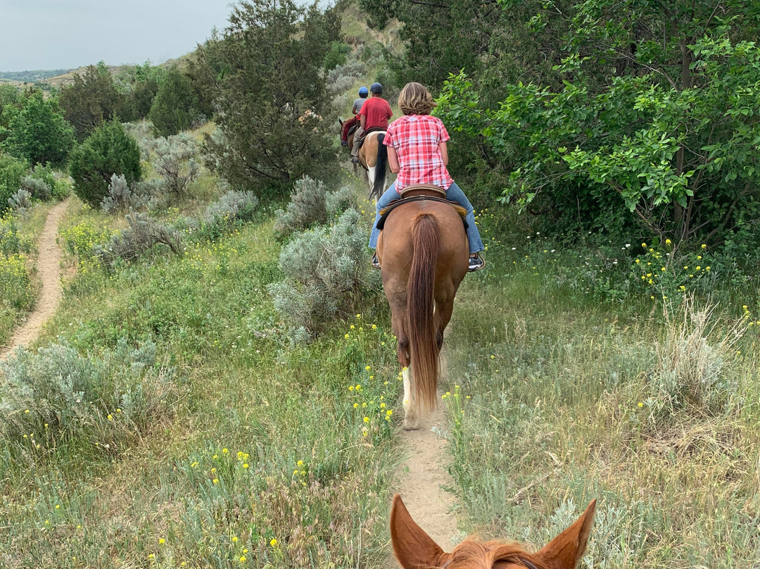 Medora Riding Stables景点图片