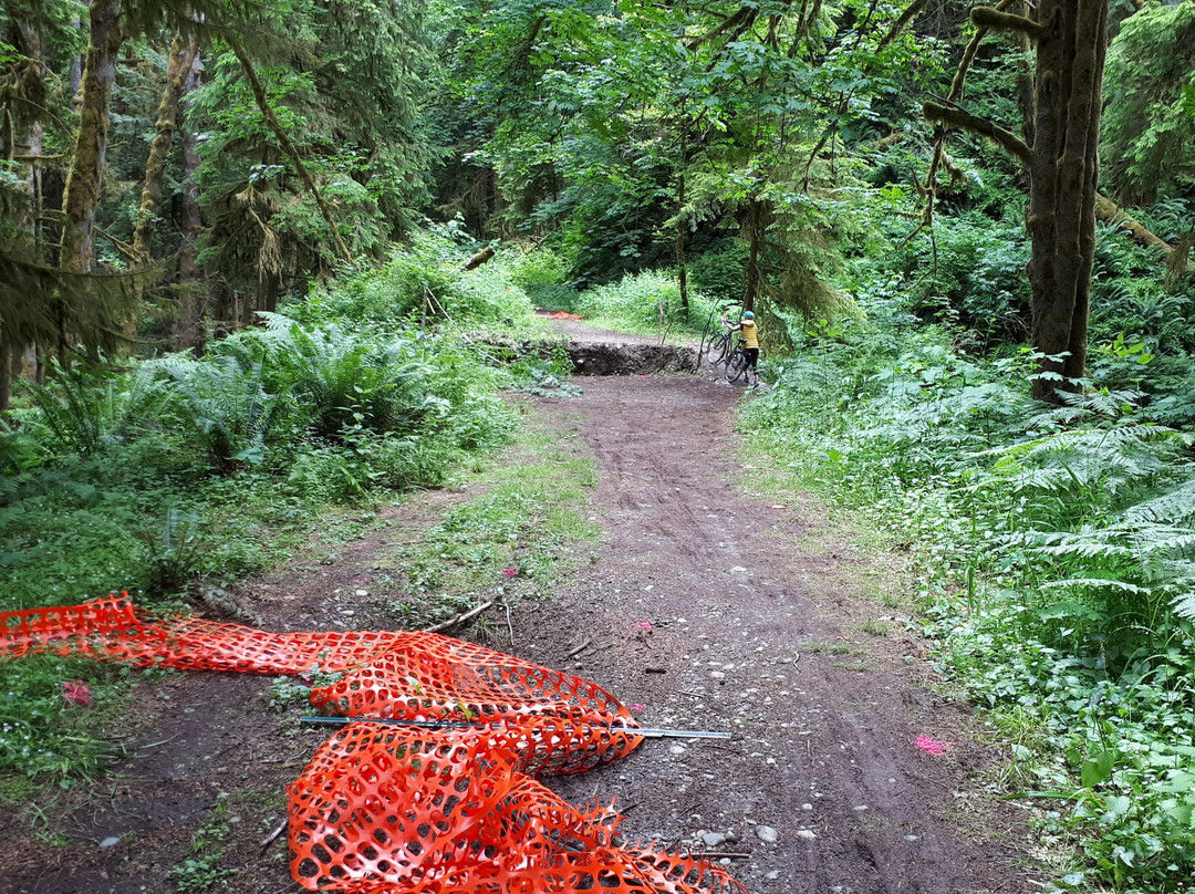 Cowichan Valley trail景点图片