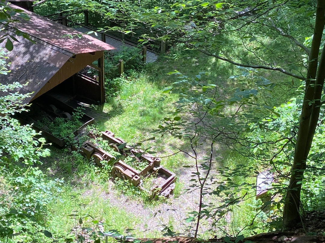 Nuttallburg Mine Site-Winona必去景点