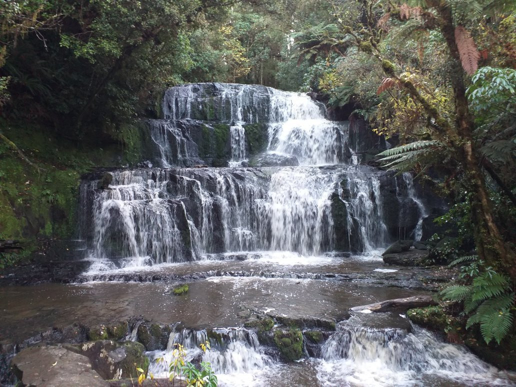 Purakaunui Falls Walk景点图片