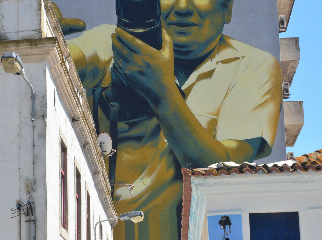 Circuito Arte Urbana Barreiro景点图片
