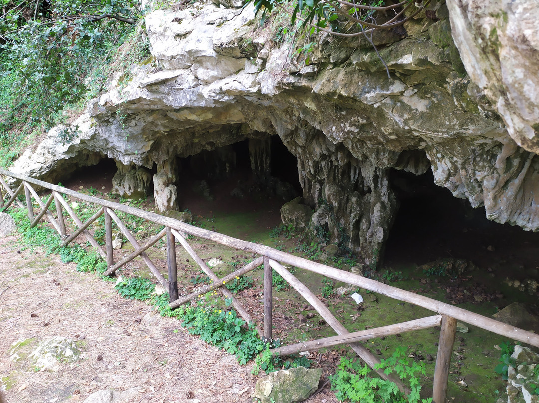 Grotta Dei Pulcini景点图片