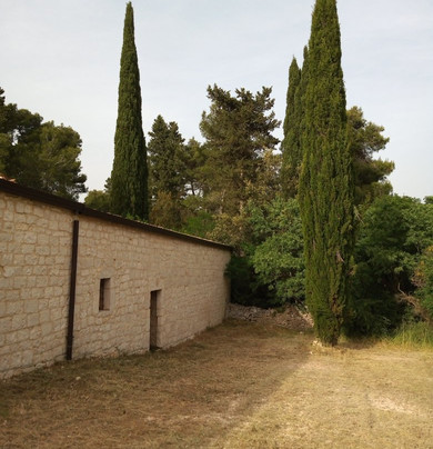 Foresta Mercadante-Cassano delle Murge必去景点