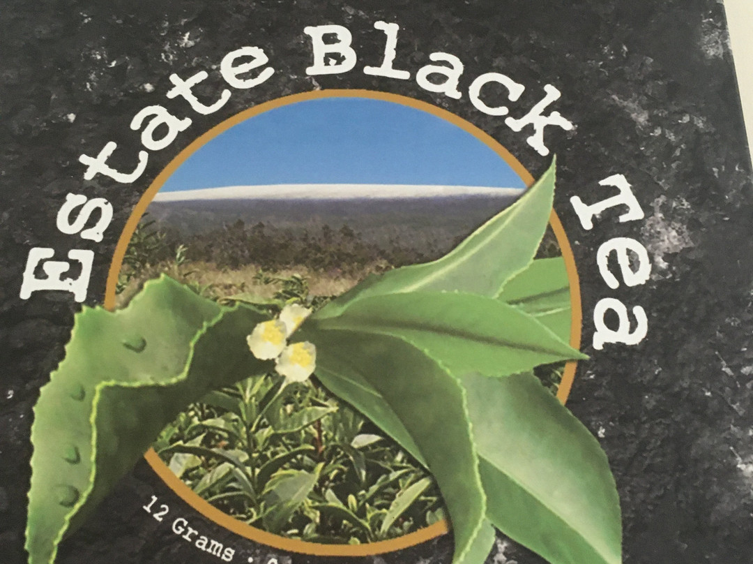 火山酿酒厂-火山必去景点