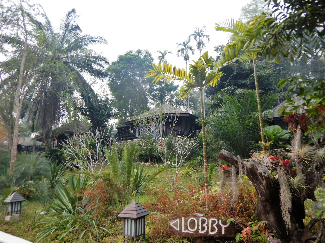 桂河乡村酒店主图