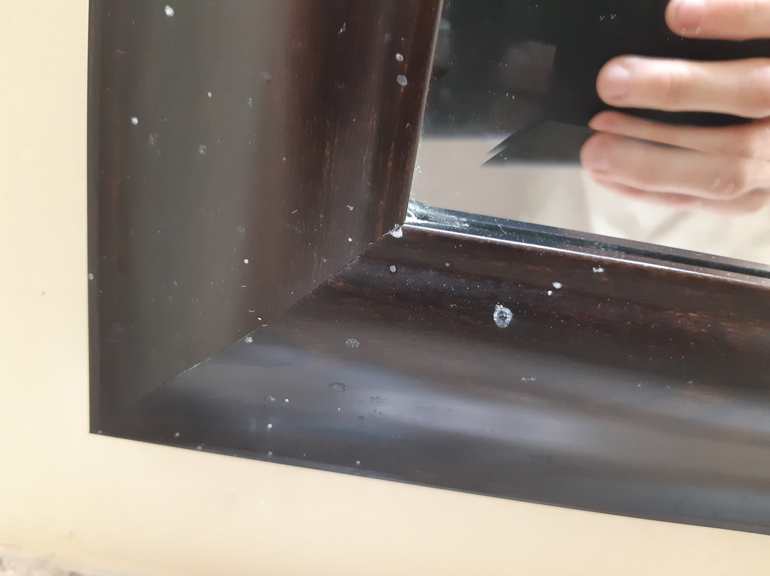 Quality Inn and Suites主图