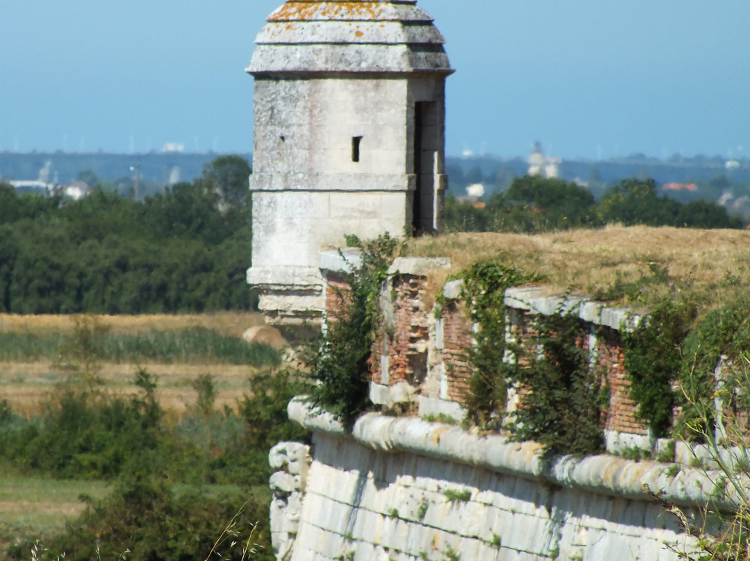Citadelle de Brouage景点图片