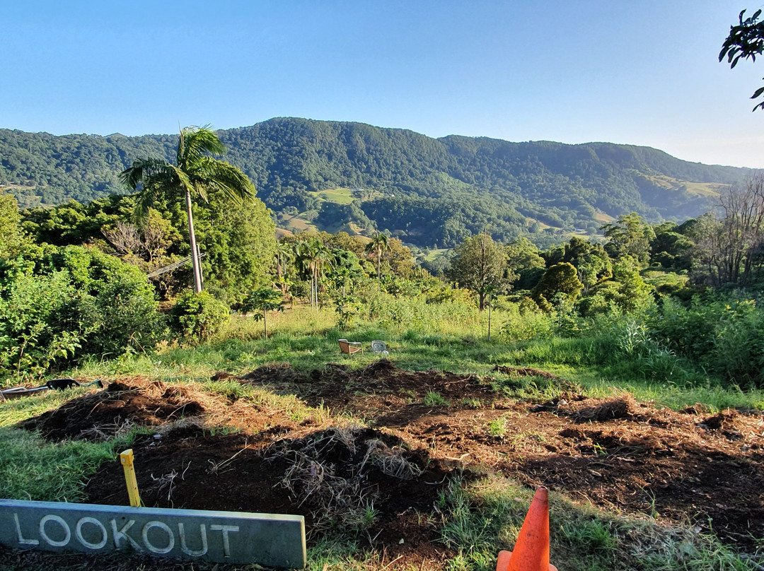 Arthur Freeman Lookout-可伦宾必去景点