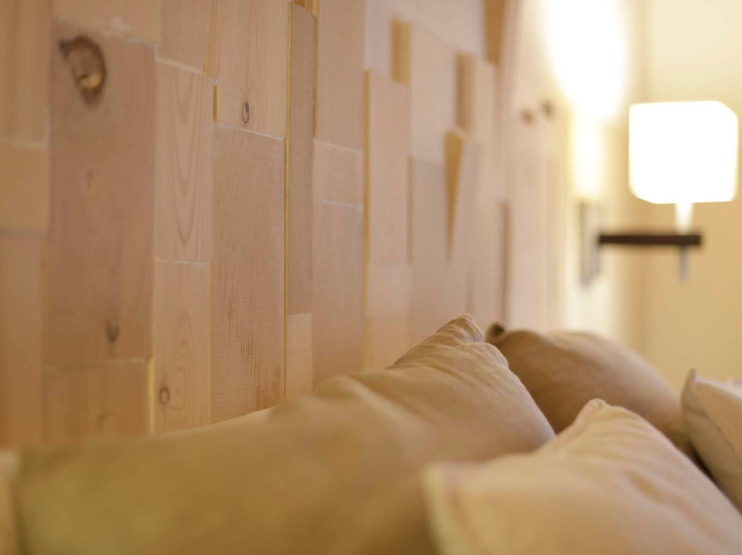 Hotel Boutique Niu de Sol主图