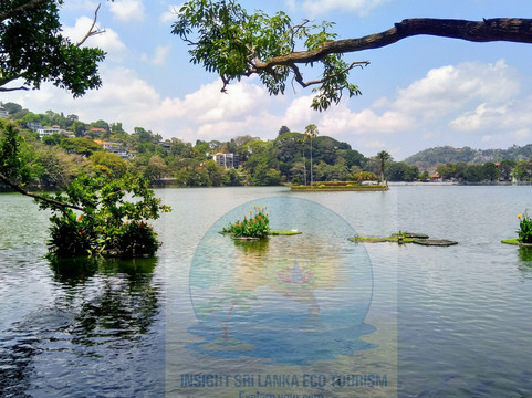 Insight Sri Lanka Eco Tourism - Dave de Silva-拉非尼亚山必去景点