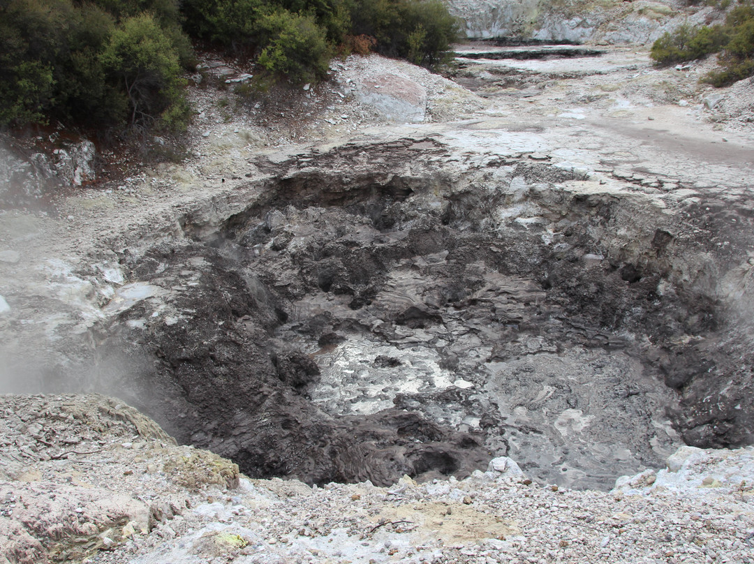 Whakarewarewa Geothermal Valley景点图片