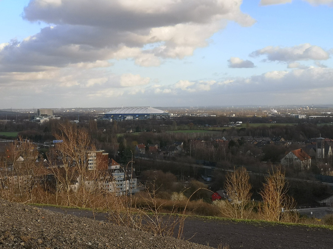 Halde Rungenberg景点图片
