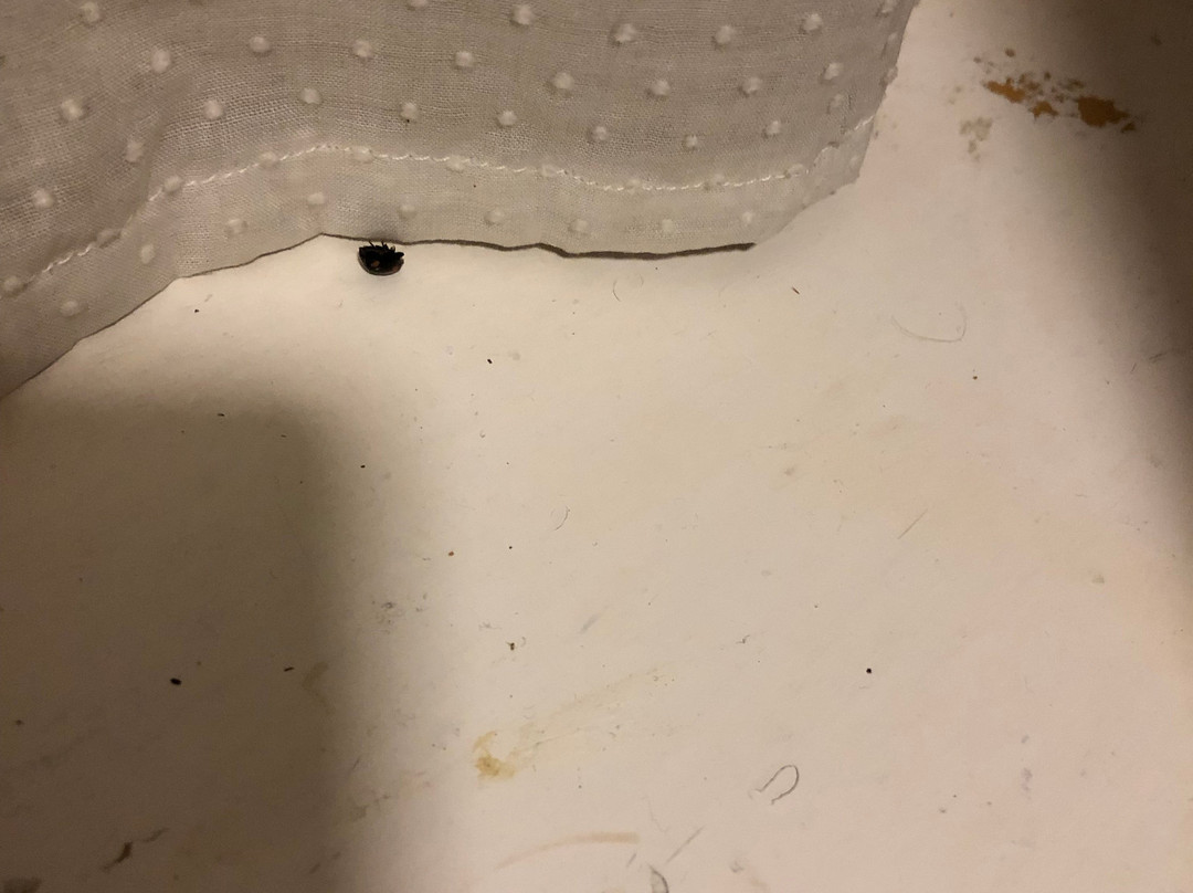 The Gro Guest House主图