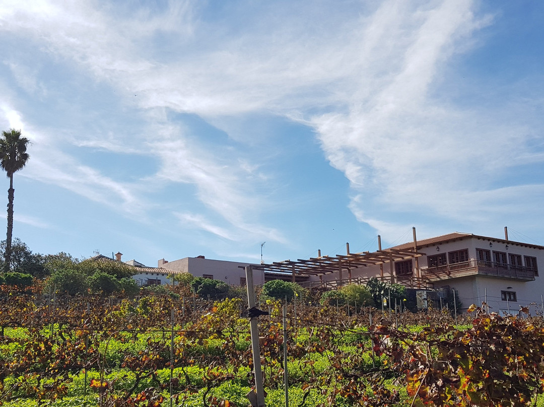 Bodega El Lomo-Tegueste必去景点