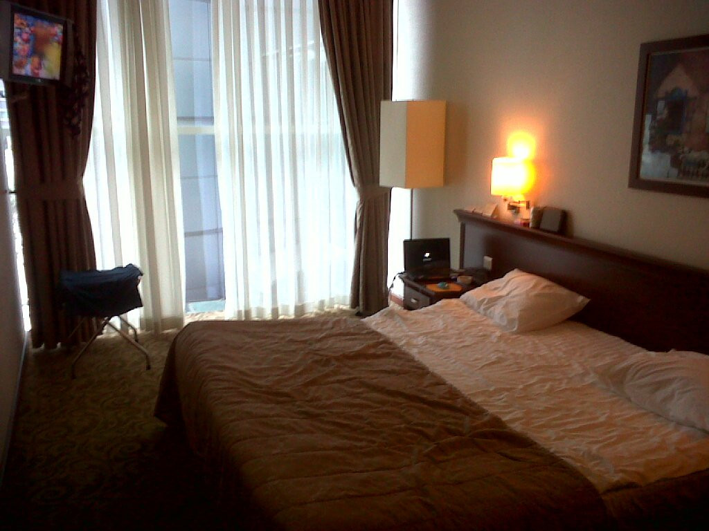 Istanbul Private Transfers & Limo Services: Airport, Cruise Port, Hotel Pickups景点图片