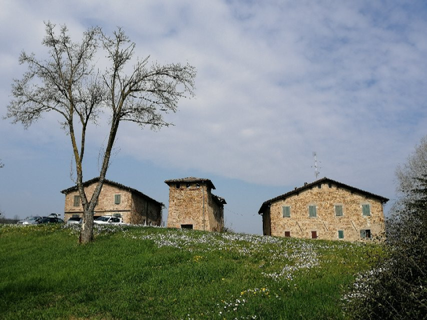 Tenuta di Aljano-Scandiano必去景点