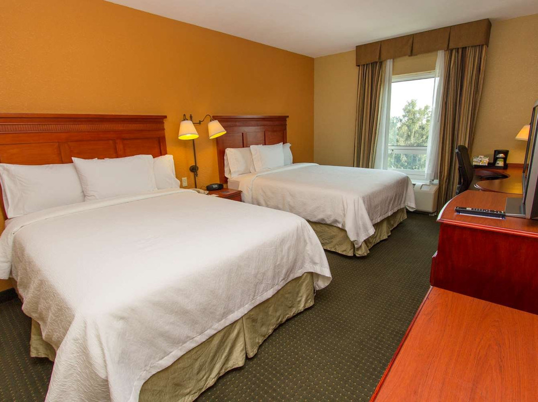 Hampton Inn By Hilton Guadalajara-aeropuerto主图