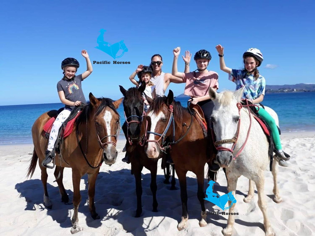 Pacific Horses景点图片