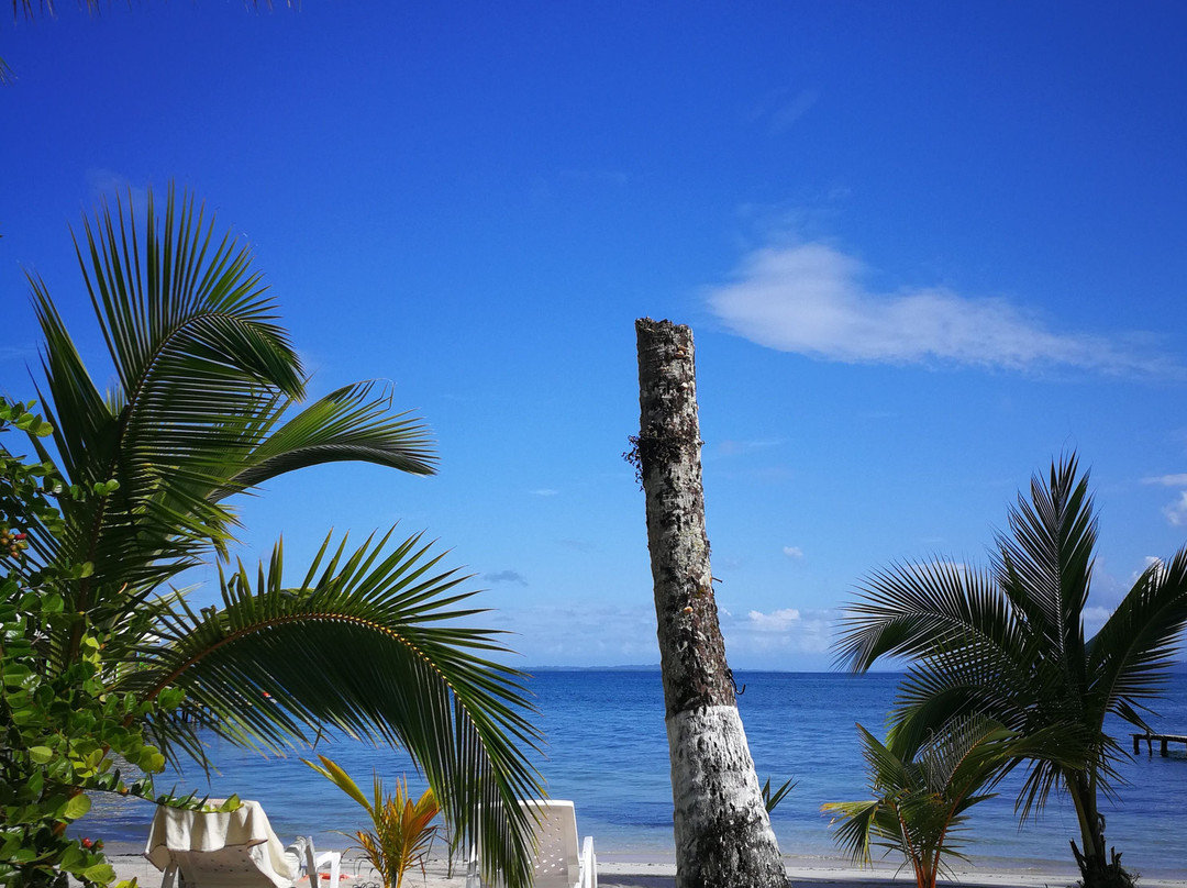 Dona Mara Beach Hotel主图