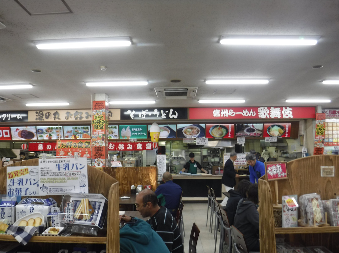 Tobuyunomaru Service Area Outbound-东御市必去景点