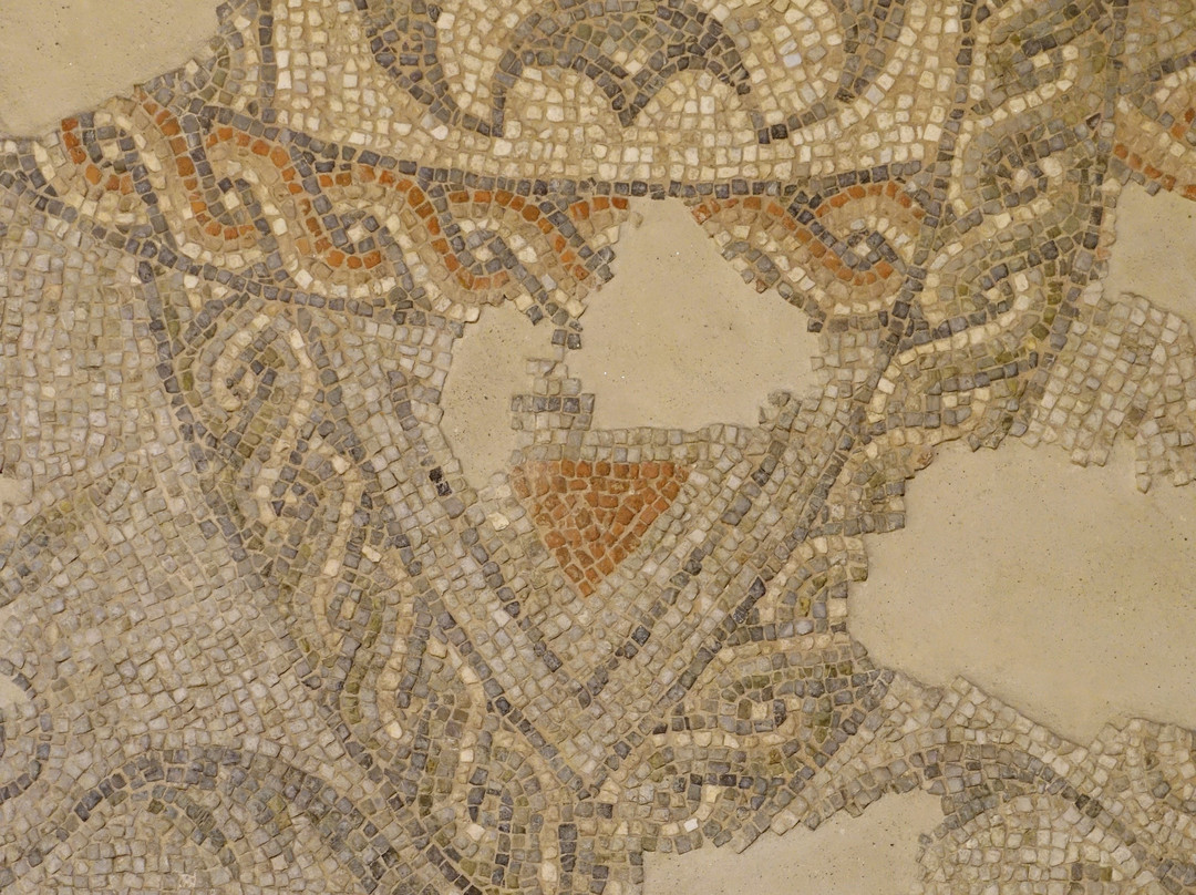 MAEC - Museo dell'Accademia Etrusca景点图片