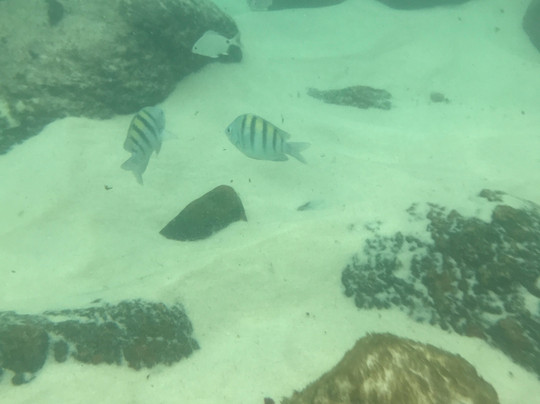 Ubatuba Tour-乌巴图巴必去景点