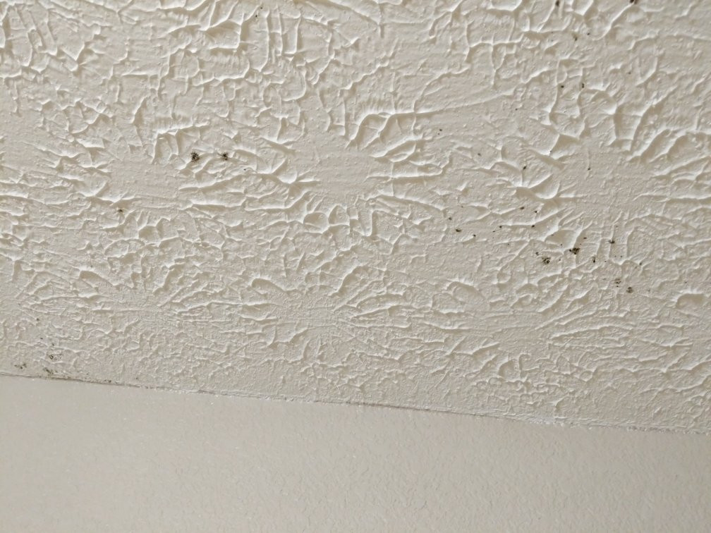 Super 8 by Wyndham Knoxville North/Powell