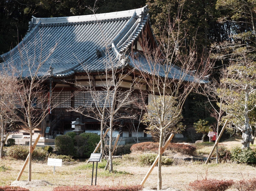 Omido Kannonji Temple景点图片