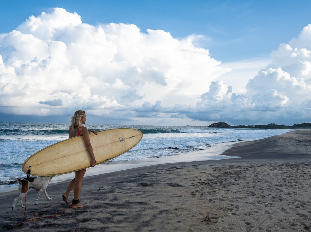 Panama酒店住宿-Kudakalliya Beach Houses