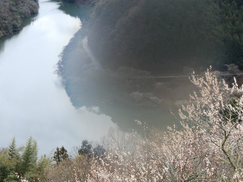 Tsukigase Plum Valley-奈良市必去景点