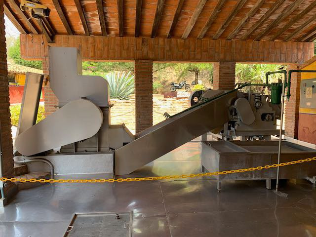 Turtle Tours Mazatlan-马萨特兰必去景点