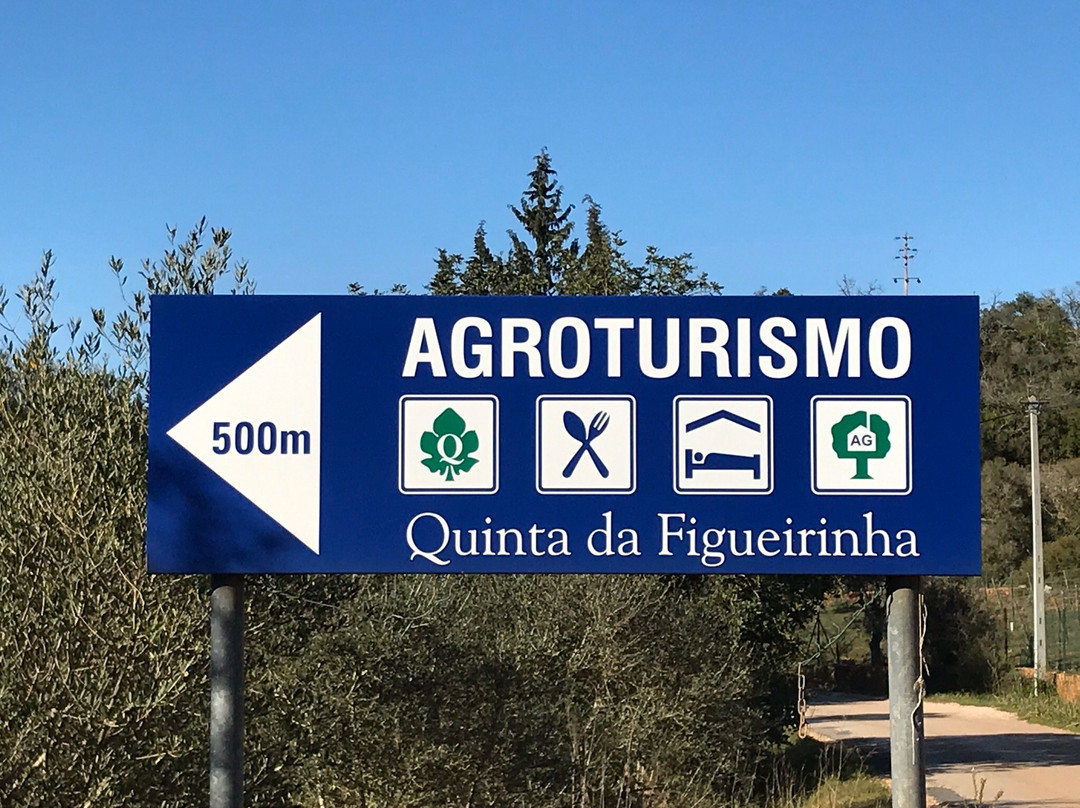 Quinta da Figueirinha主图