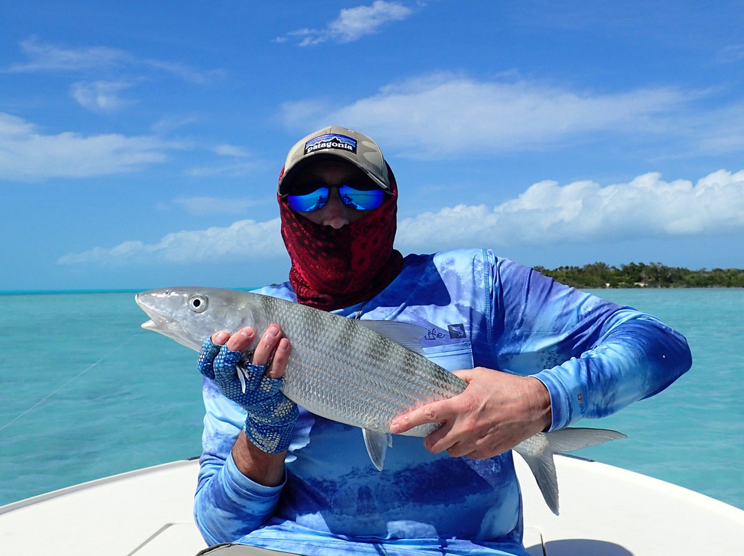 Bonefish Stevie-George Town必去景点