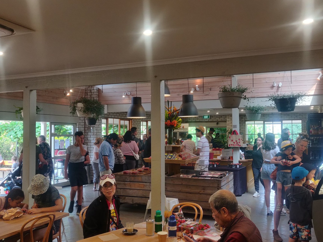 Sunny Ridge Strawberry Farm-Main Ridge必去景点