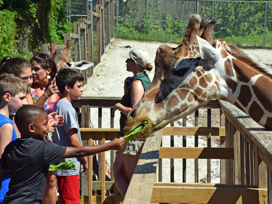 Elmwood Park Zoo-Norristown必去景点