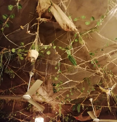 Boulevard du rhum-那慕尔必去景点