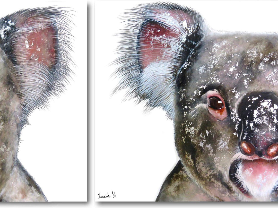 Sénéchal-Senekal-法兰舒克必去景点