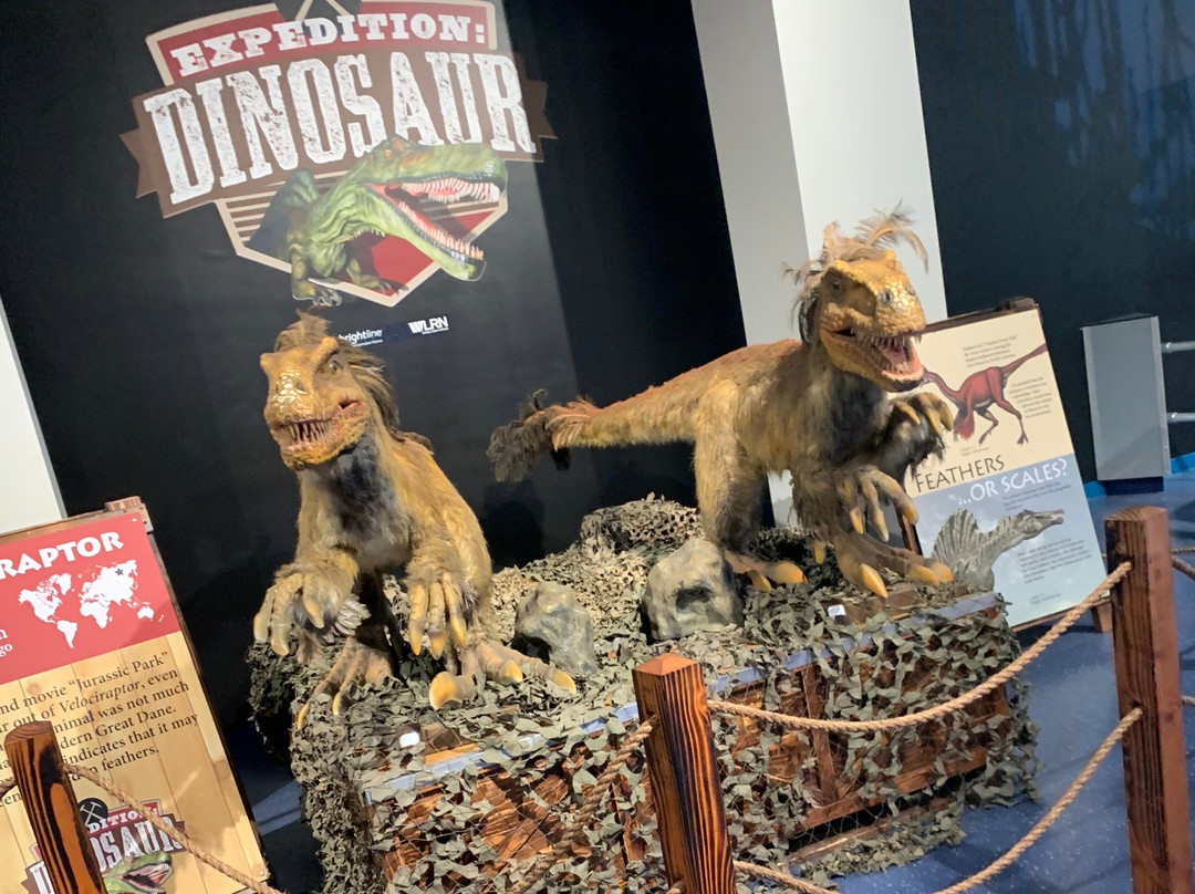 Museum of Discovery and Science-劳德代尔堡必去景点