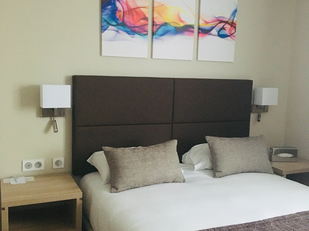 Best Western Hotel Des Barolles - Lyon Sud主图